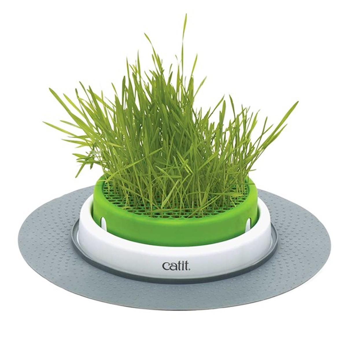 Catit Senses 2.0 Grass Planter