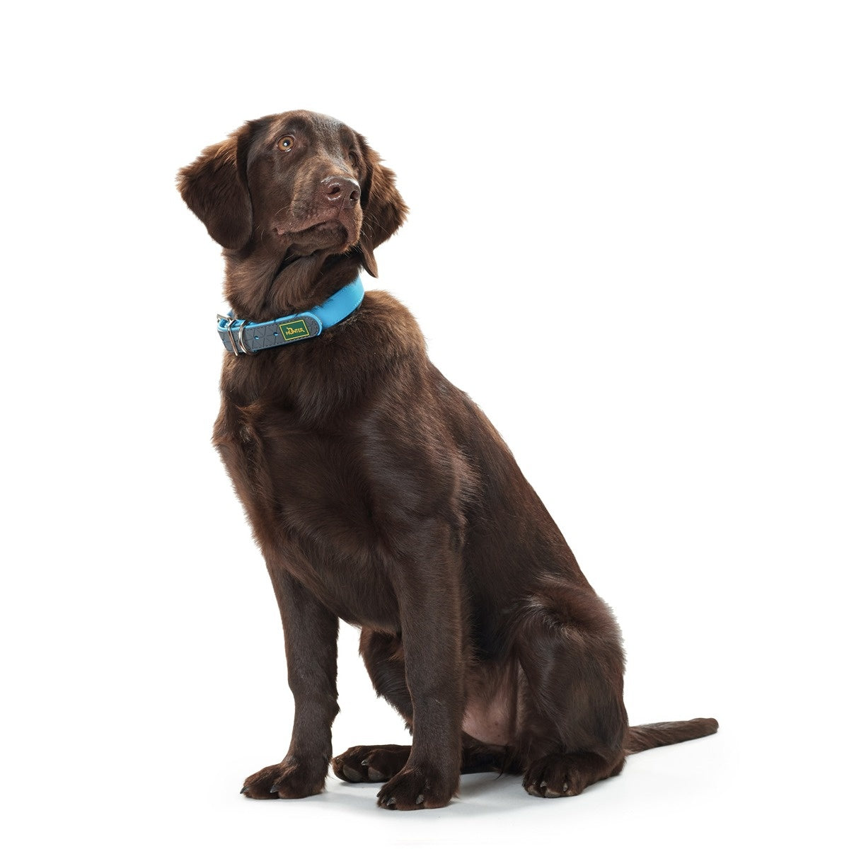 Hunter Convenience Comfort Dog Collar