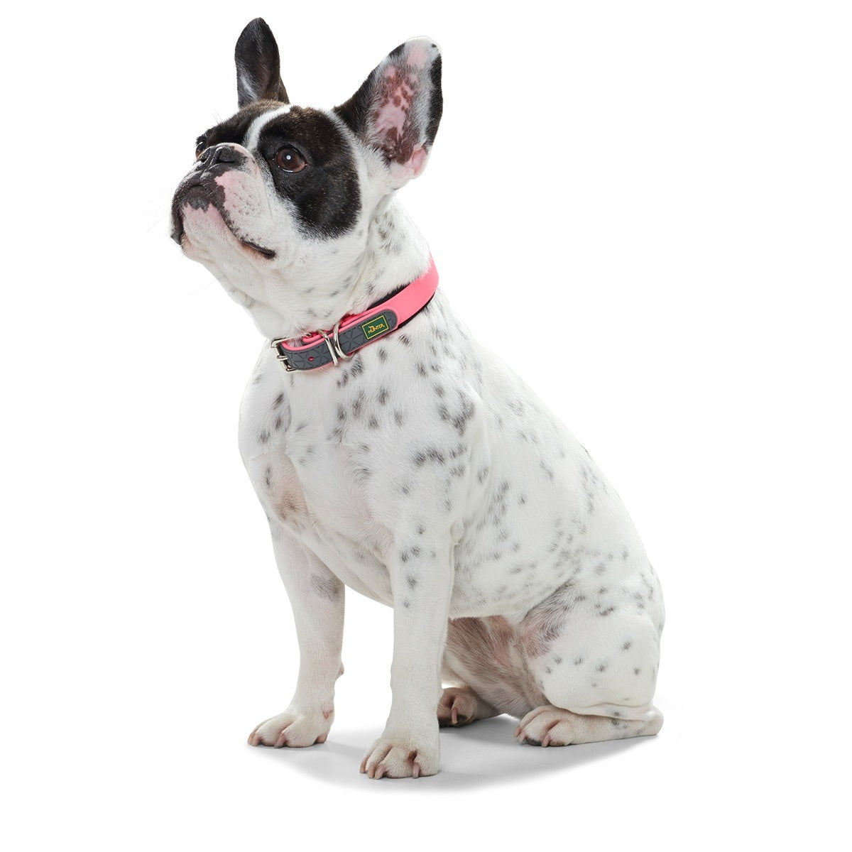 Hunter Convenience Comfort Dog Collar