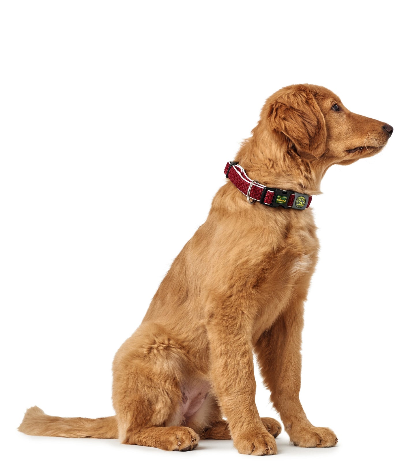Hunter Hilo Collar