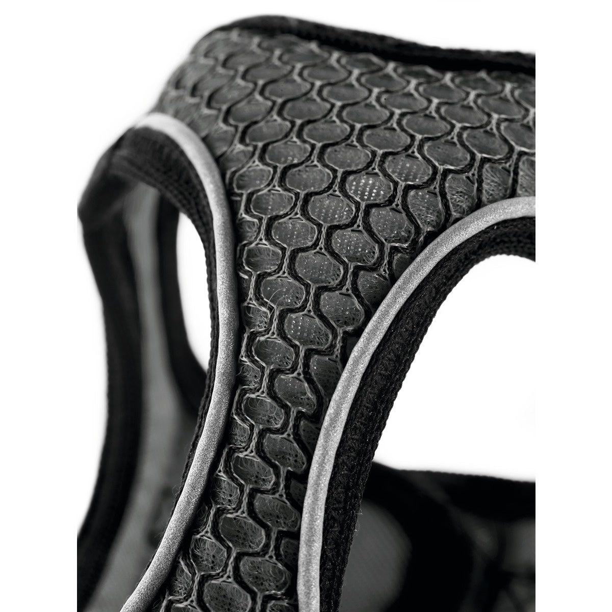 Hunter Hilo Harness for Dogs