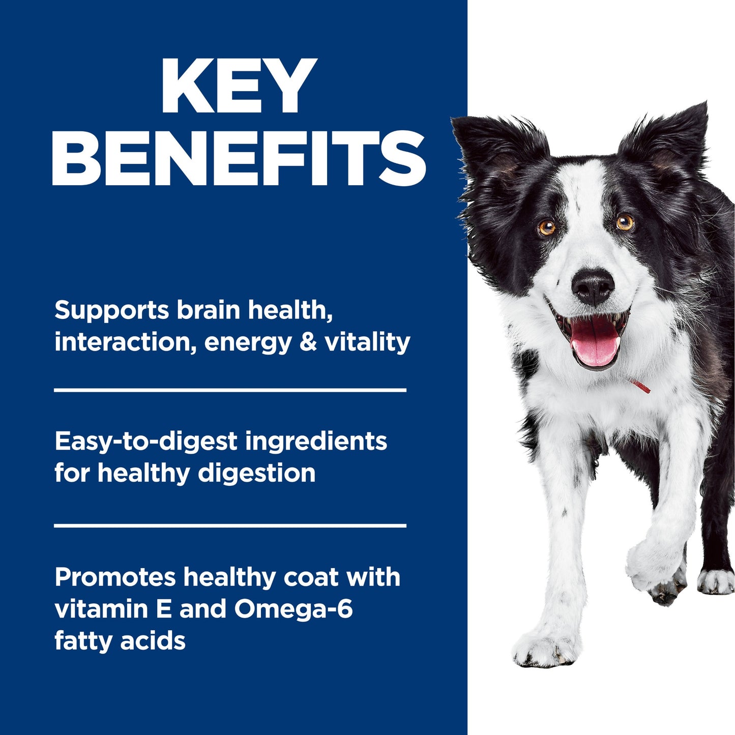 Hill's Science Diet Senior Vitality Adult 7+ Dry Dog Food