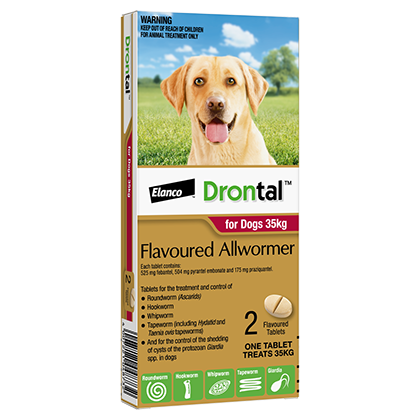 Drontal All Wormer for Dogs