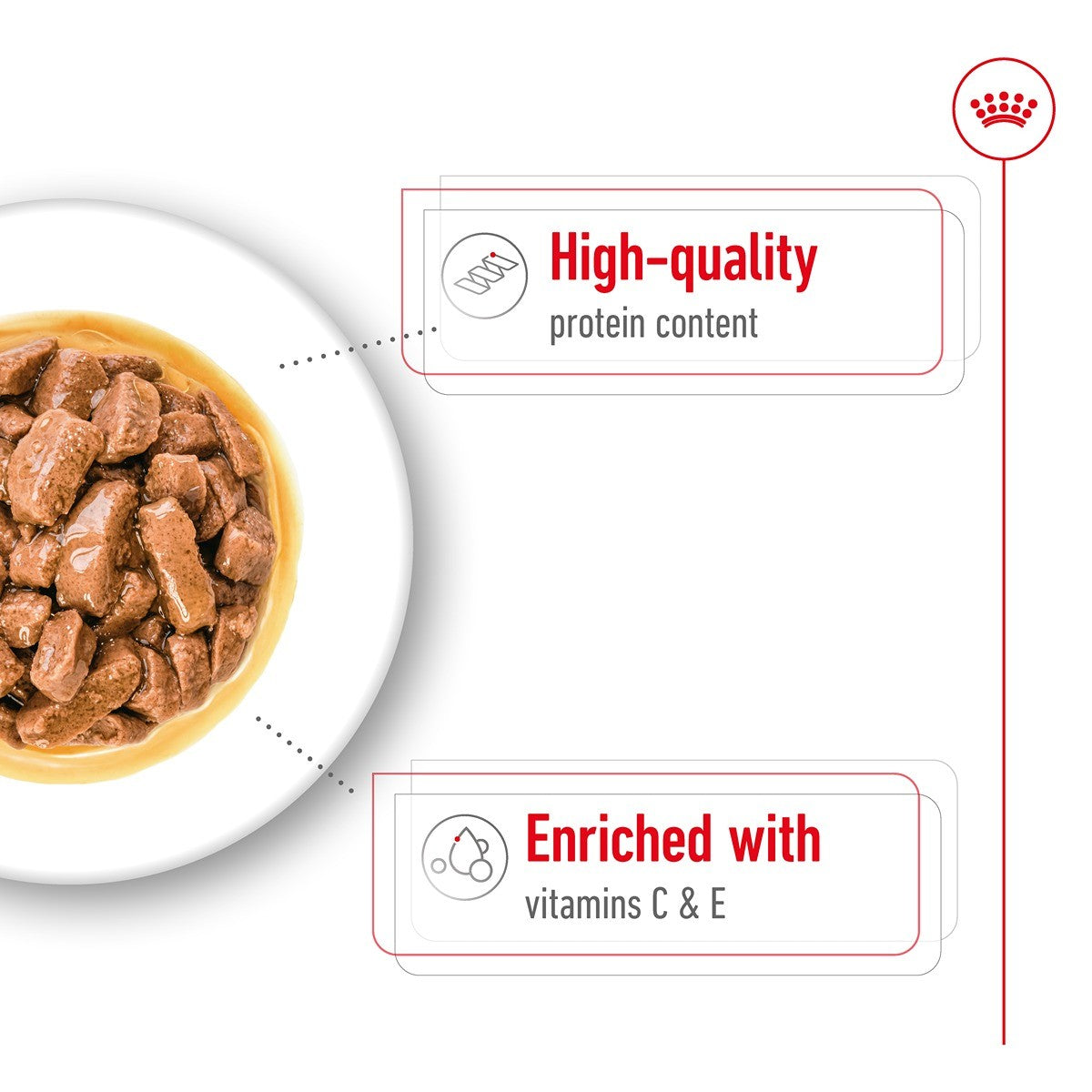 Royal Canin Medium Adult Wet Dog Food