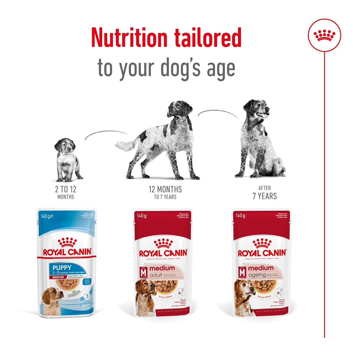 Royal Canin Medium Adult Wet Dog Food