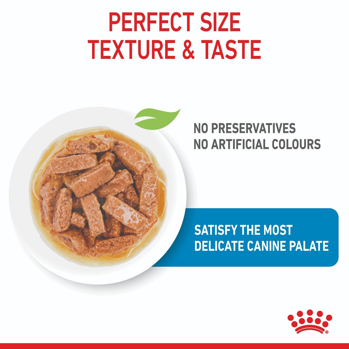 Royal Canin Maxi Wet Puppy Food