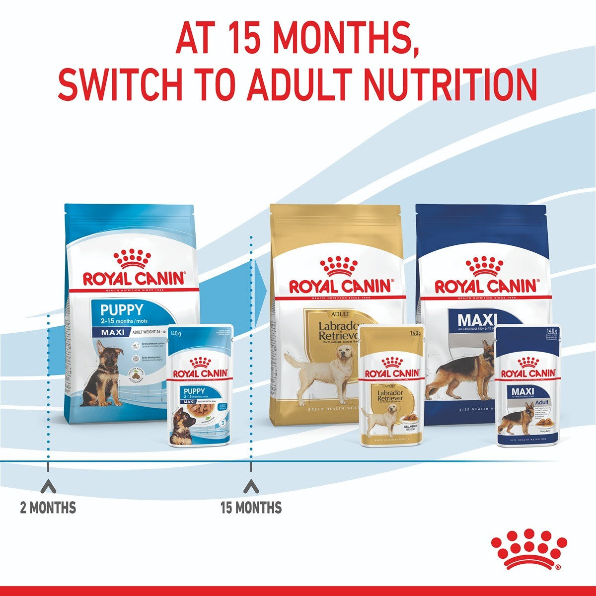 Royal Canin Maxi Wet Puppy Food