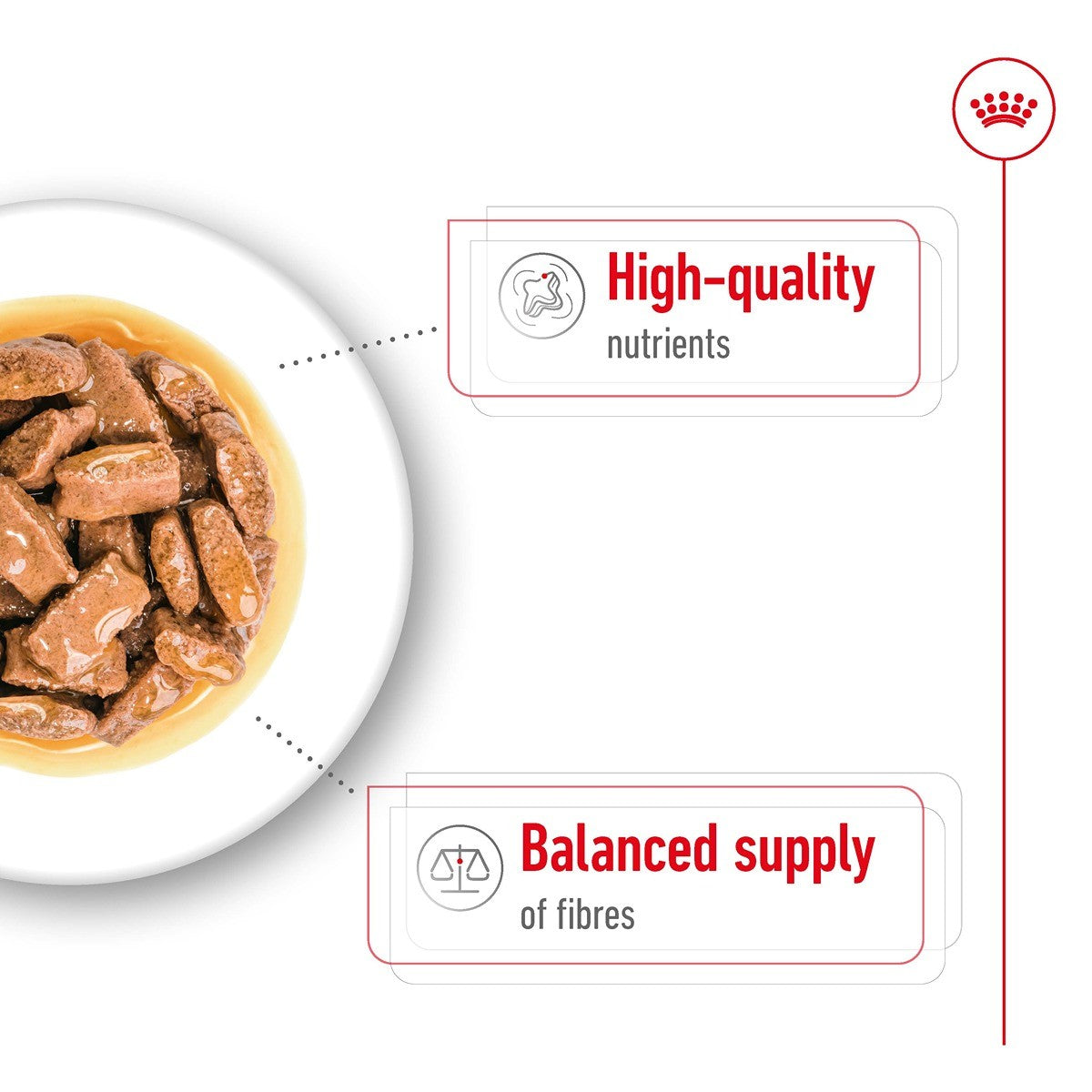 Royal Canin Maxi Adult Wet Dog Food