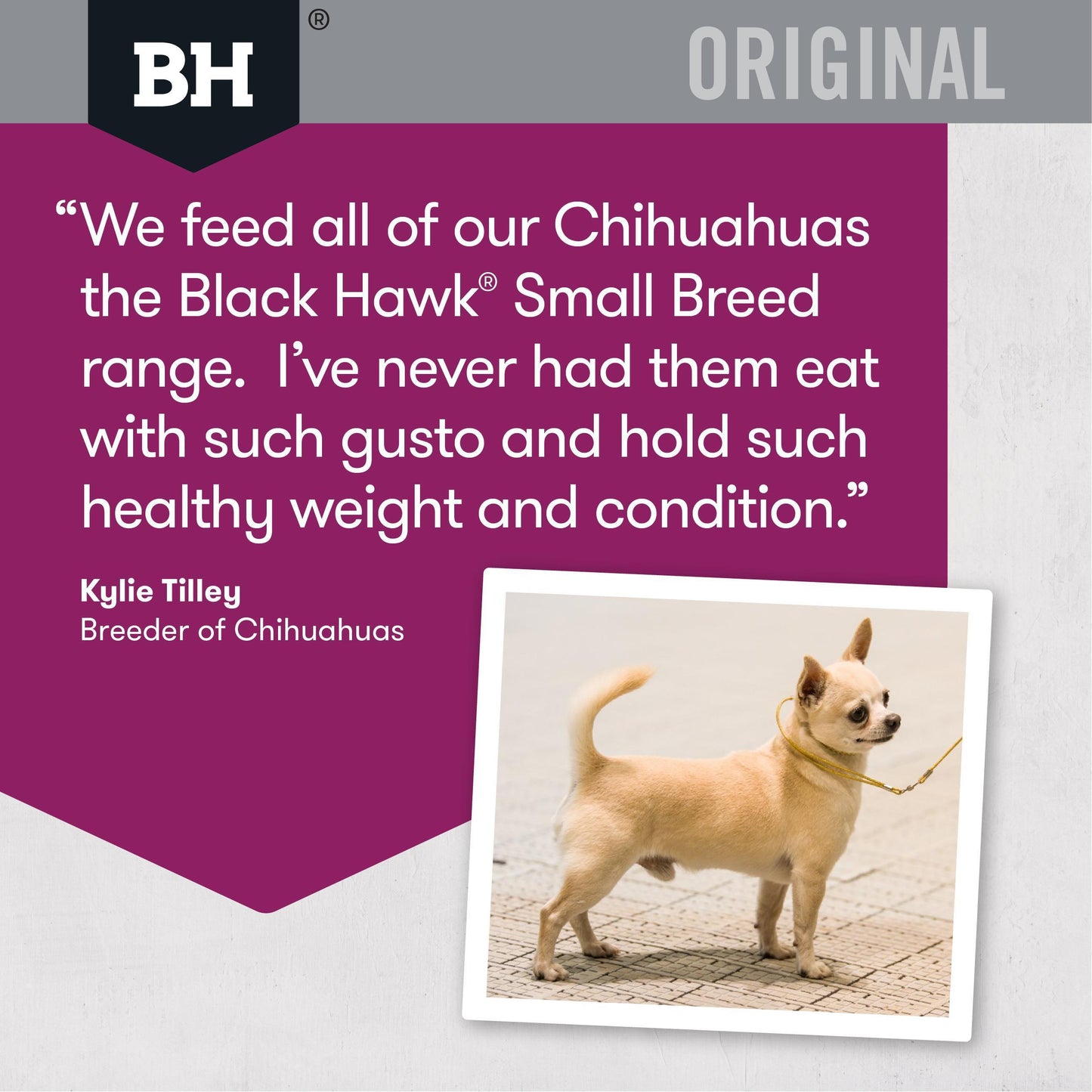 Black Hawk Small Breed Lamb & Rice Dry Dog Food