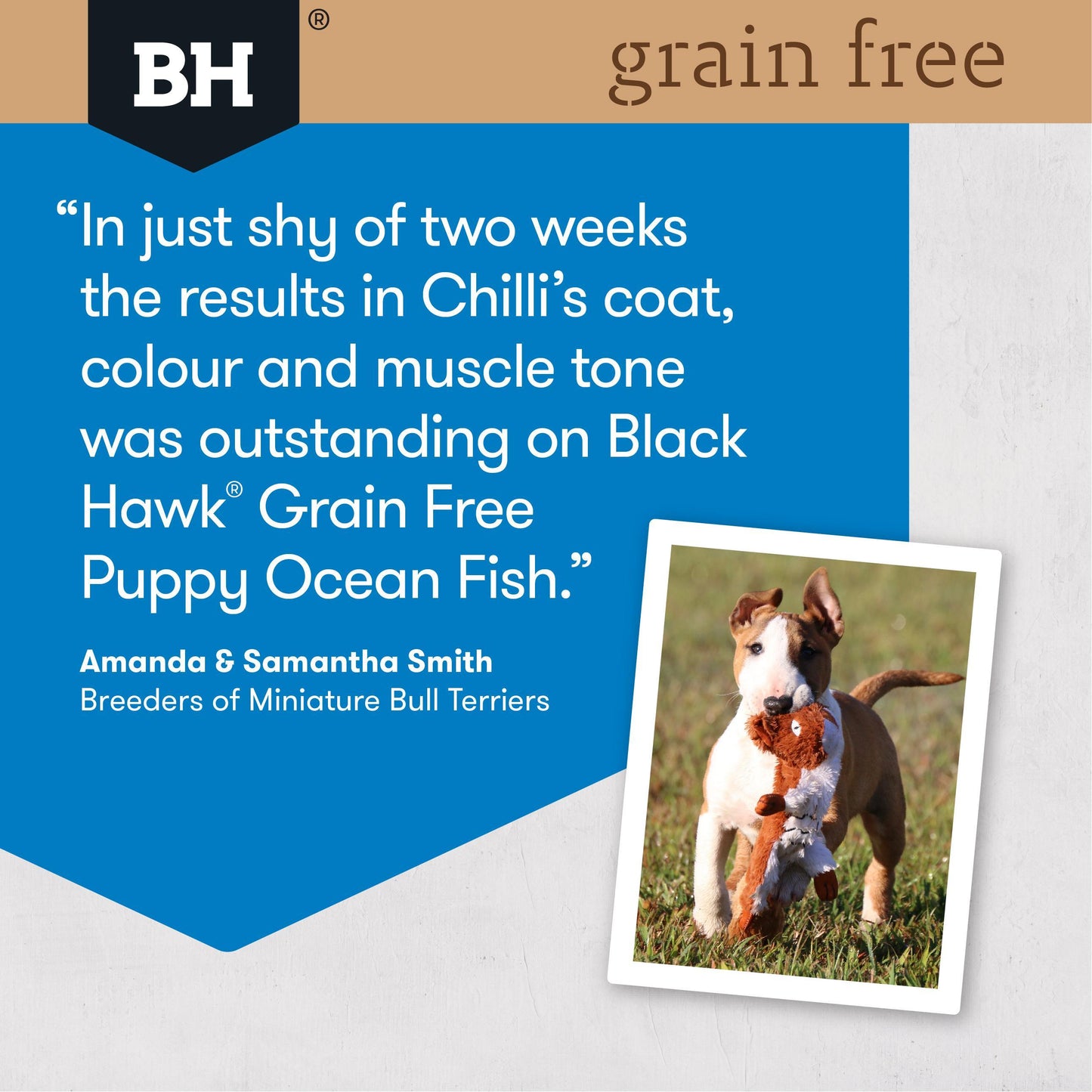 Black Hawk Grain Free Ocean Fish Puppy Dry Dog Food