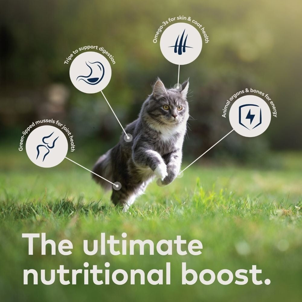 Ziwi Peak Mackerel Recipe Wet Cat Food