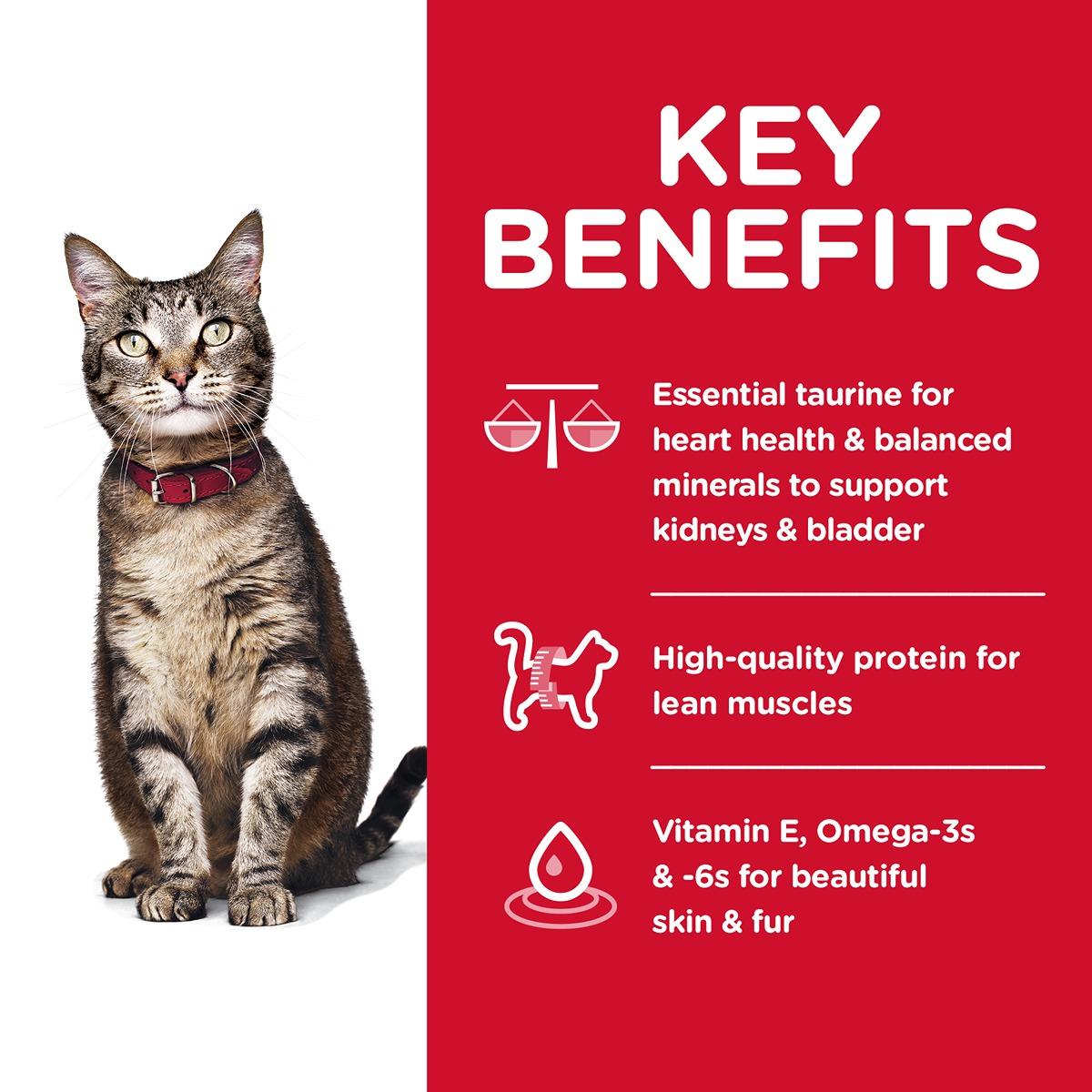 Hill's Science Diet Adult Optimal Care Dry Cat Food