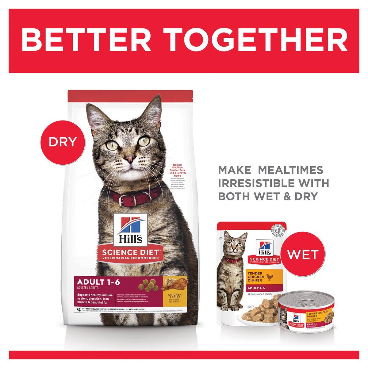Hill's Science Diet Adult Optimal Care Dry Cat Food