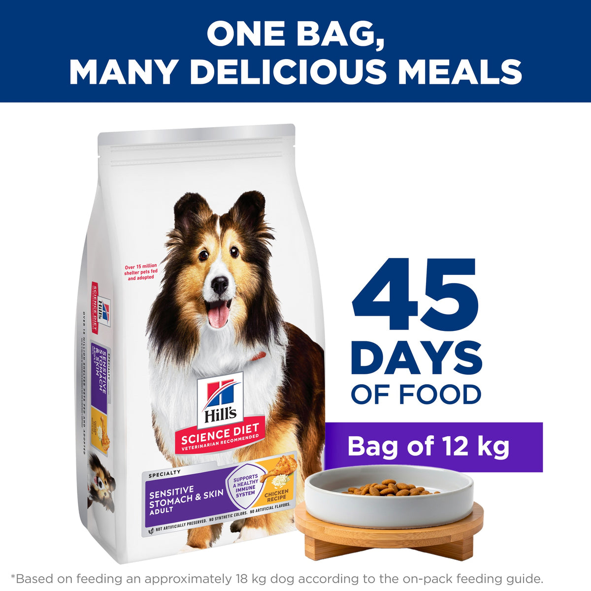 Hill's Science Diet Adult Sensitive Stomach & Skin Dry Dog Food