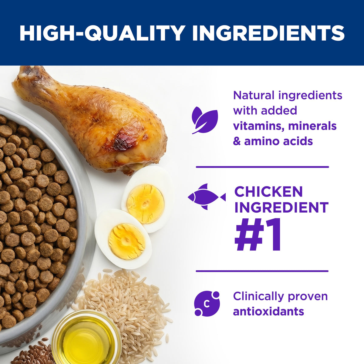 Hill's Science Diet Adult Sensitive Stomach & Skin Dry Dog Food