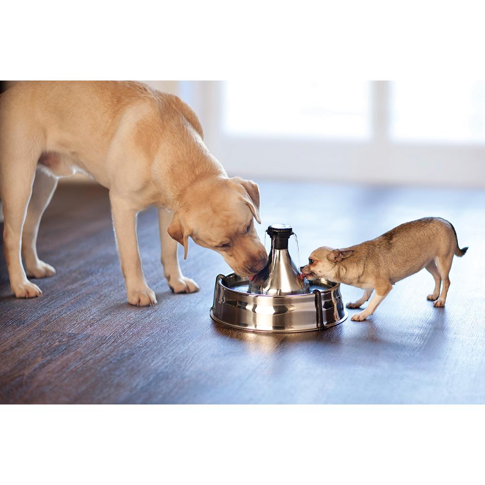 PetSafe Drinkwell 360 Stainless Steel Pet Fountain