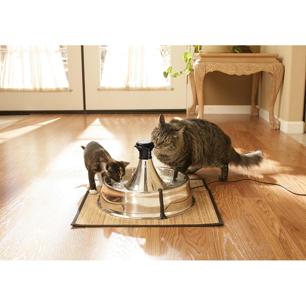 PetSafe Drinkwell 360 Stainless Steel Pet Fountain