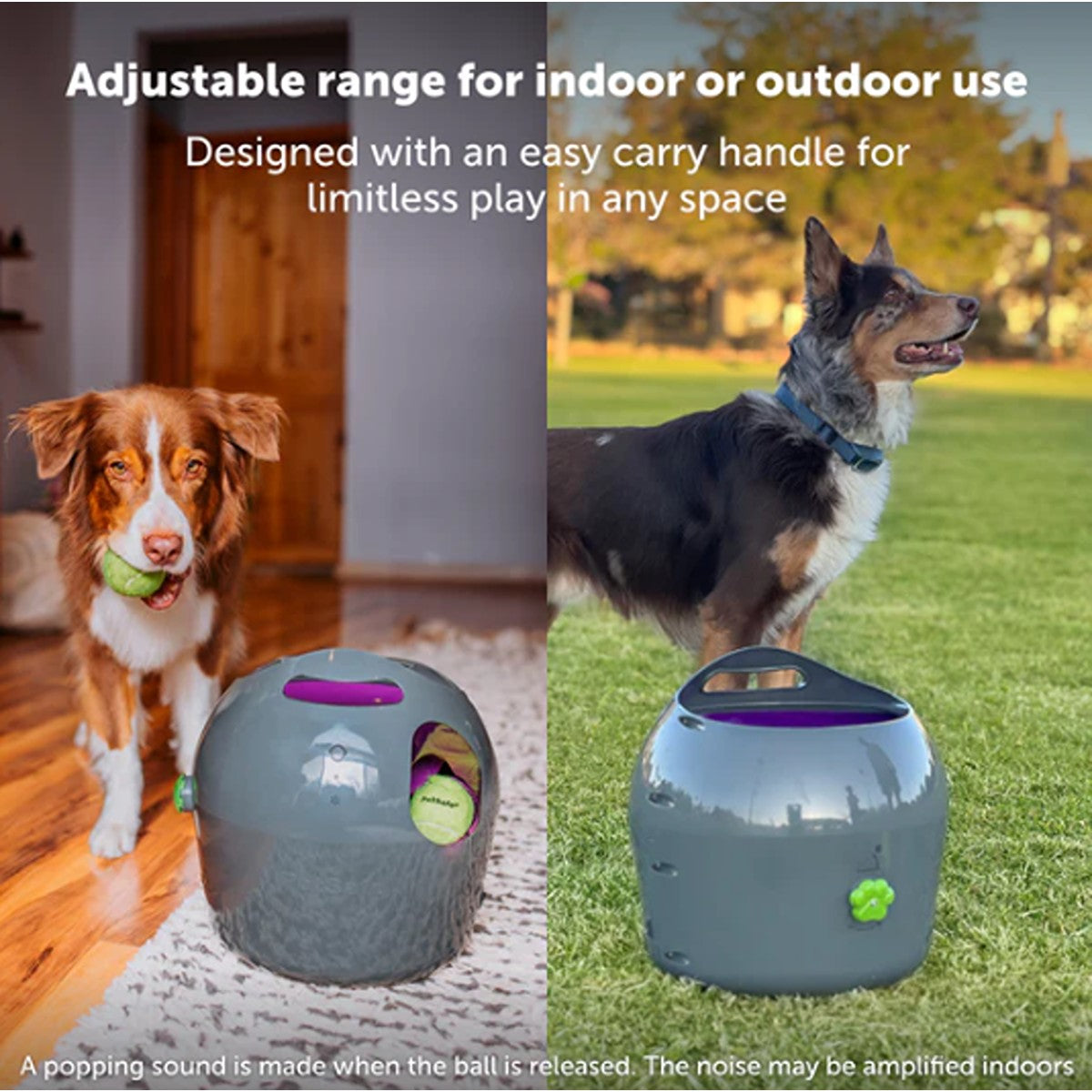 PetSafe Automatic Ball Launcher For Dogs