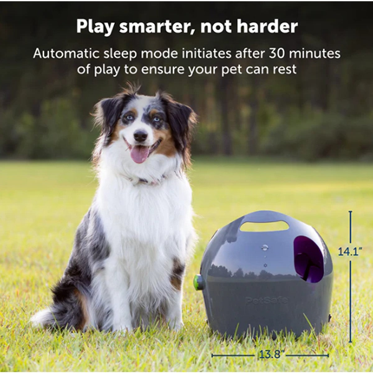 PetSafe Automatic Ball Launcher For Dogs