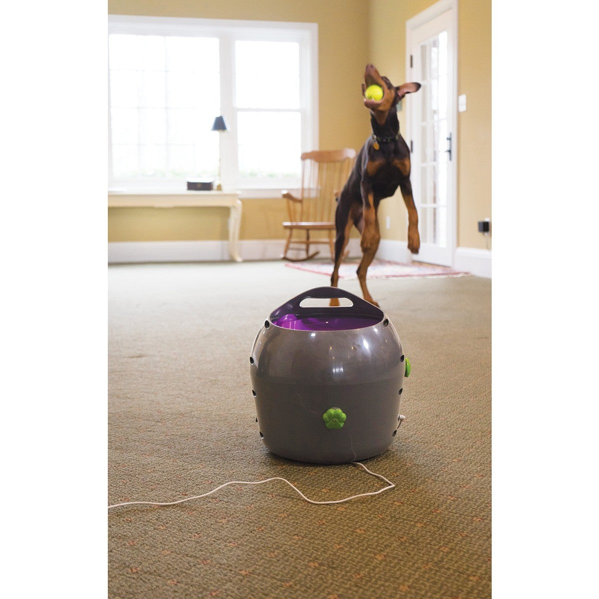 PetSafe Automatic Ball Launcher For Dogs