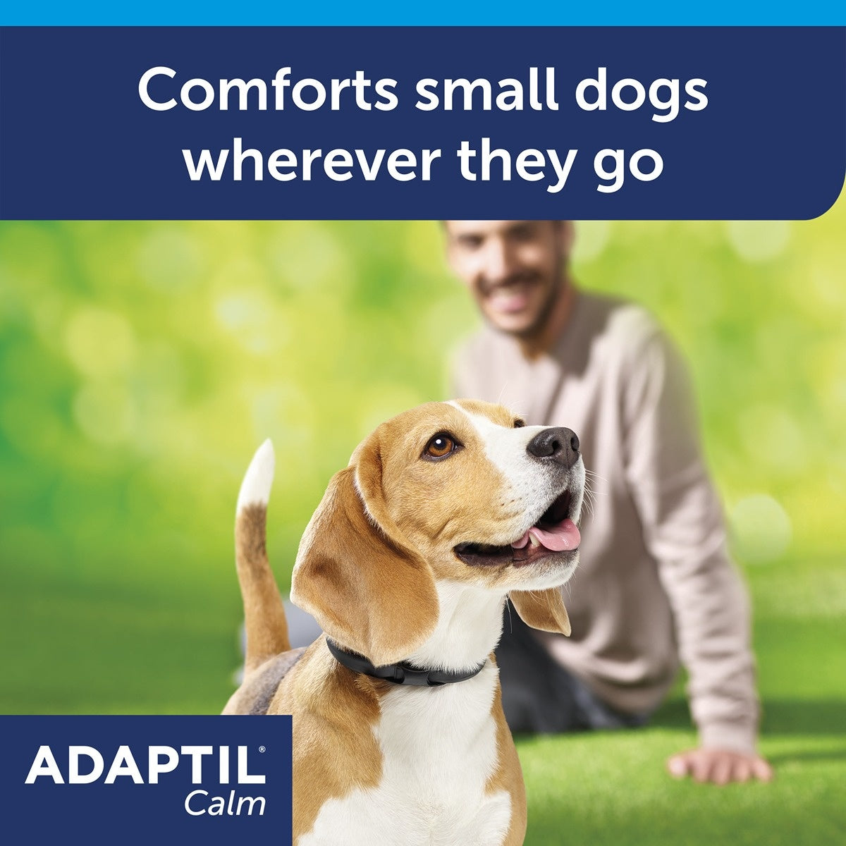 Adaptil Calming Collar for Dogs