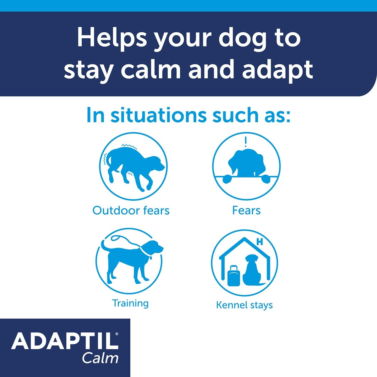 Adaptil Calming Collar for Dogs