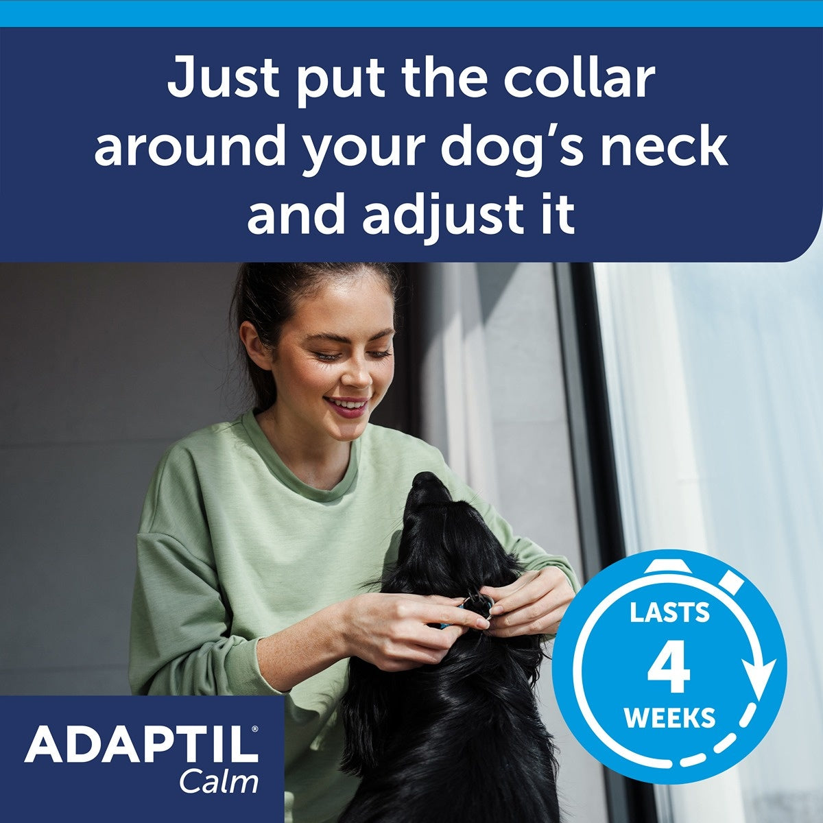 Adaptil Calming Collar for Dogs