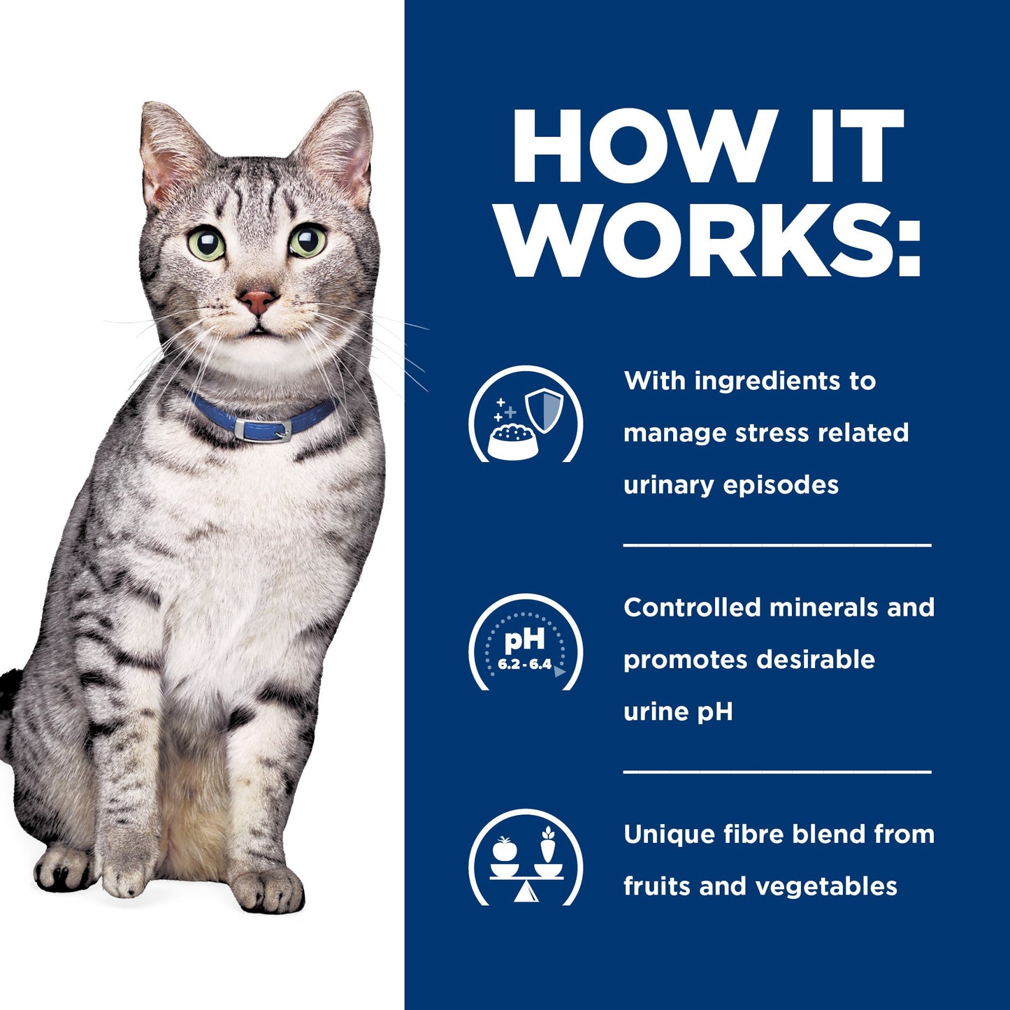 Hill's Prescription Diet c/d Urinary + Metabolic Dry Cat Food