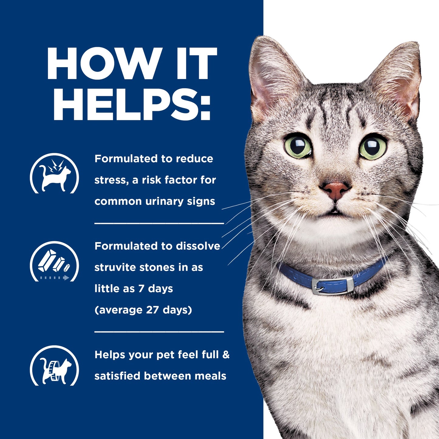 Hill's Prescription Diet c/d Urinary + Metabolic Dry Cat Food