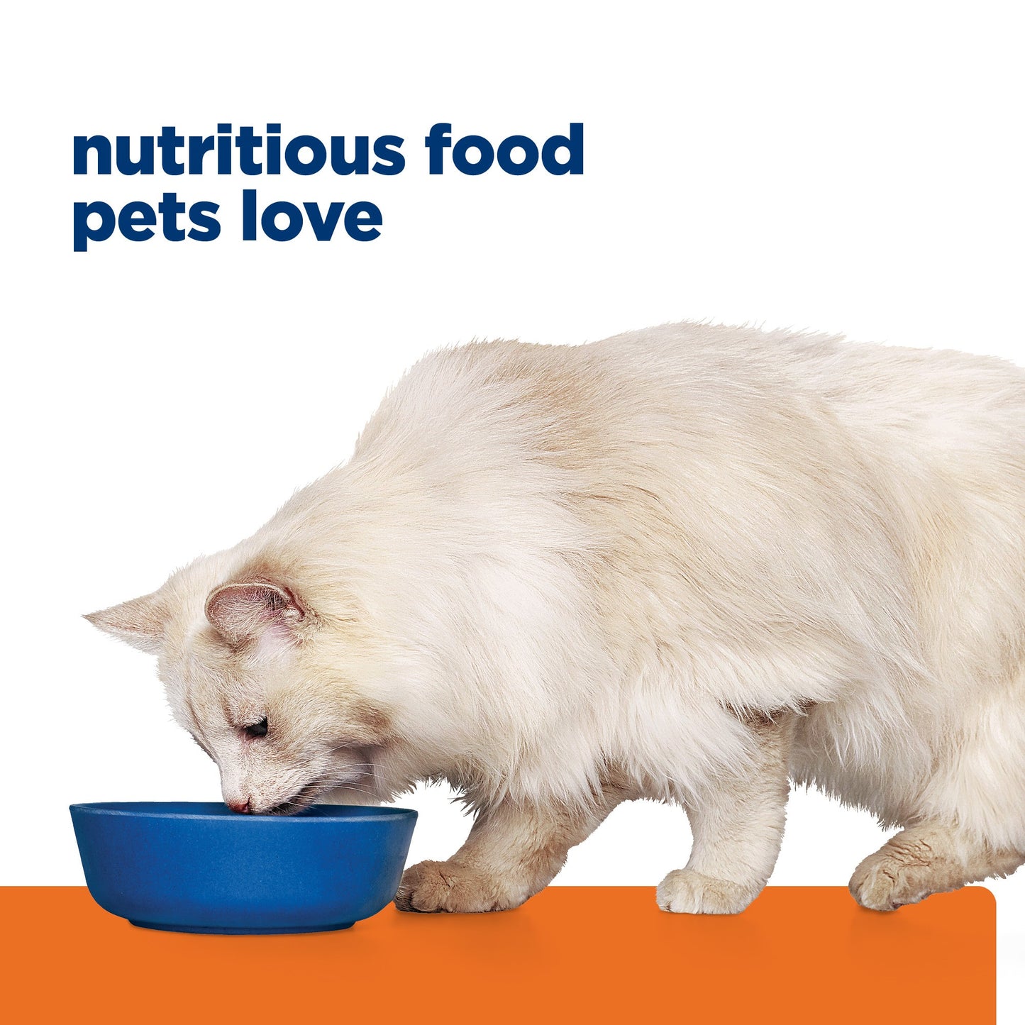 Hill's Prescription Diet c/d Multicare Stress Urinary Care Dry Cat Food