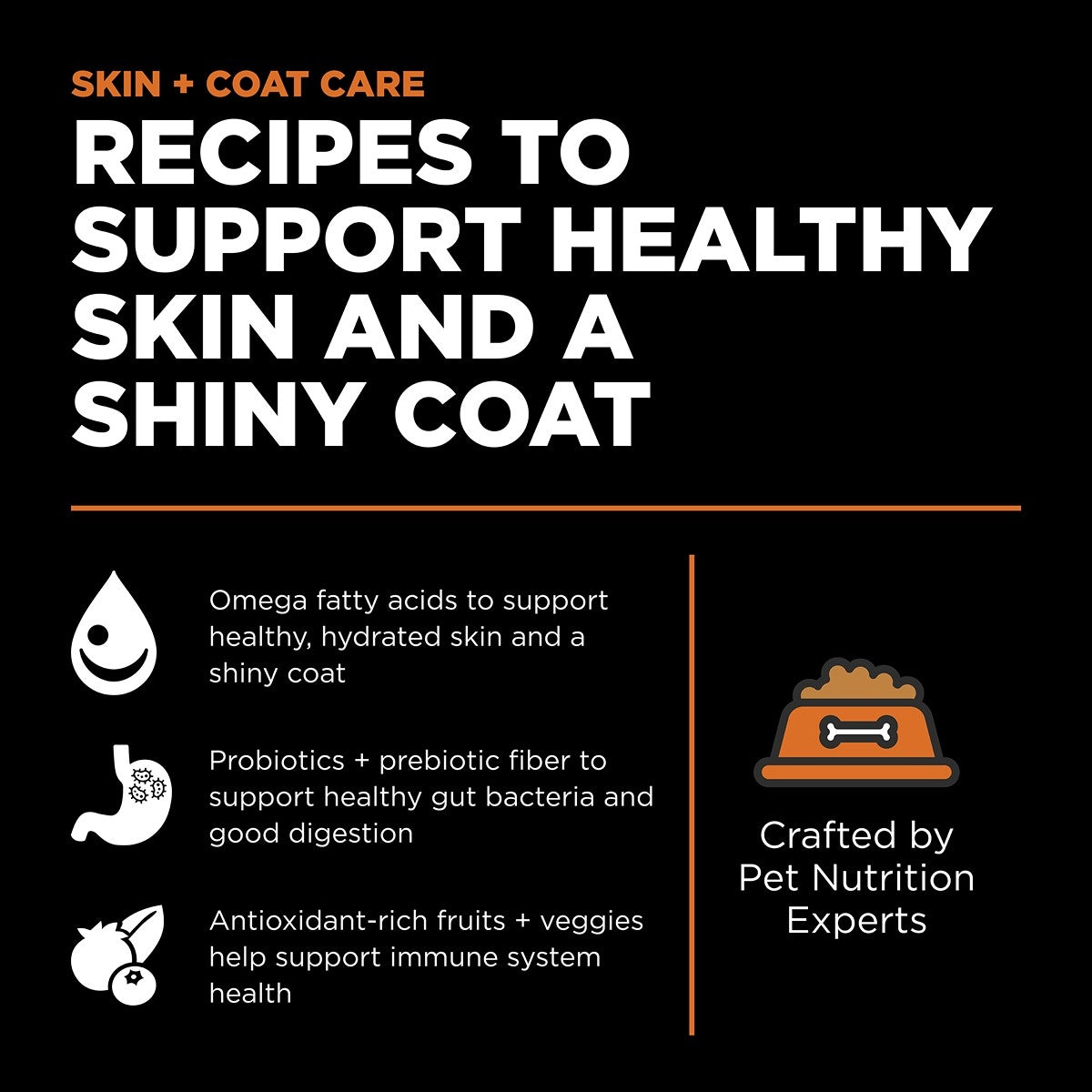 Go! Solutions SKIN + COAT CARE Salmon Dry Dog Food