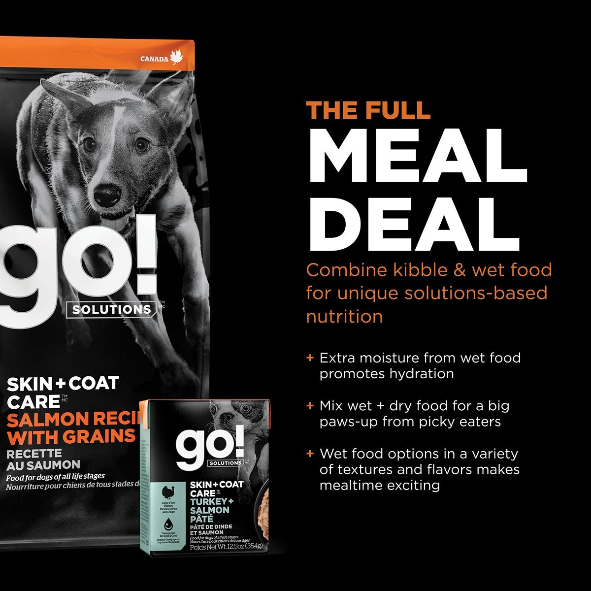 Go! Solutions SKIN + COAT CARE Salmon Dry Dog Food