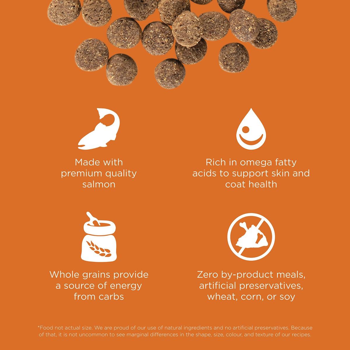 Go! Solutions SKIN + COAT CARE Salmon Dry Dog Food