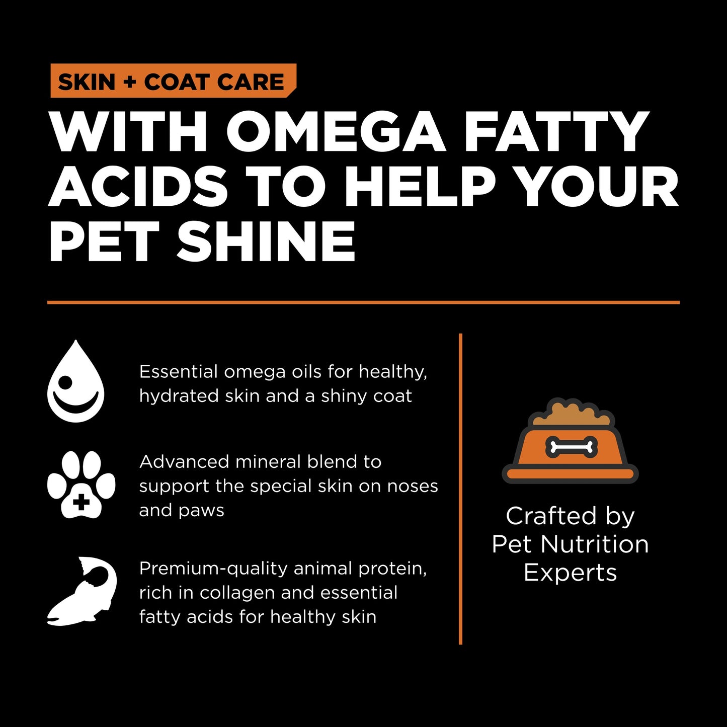 GO! Solutions SKIN & COAT CARE Grain Free Salmon Dry Cat Food