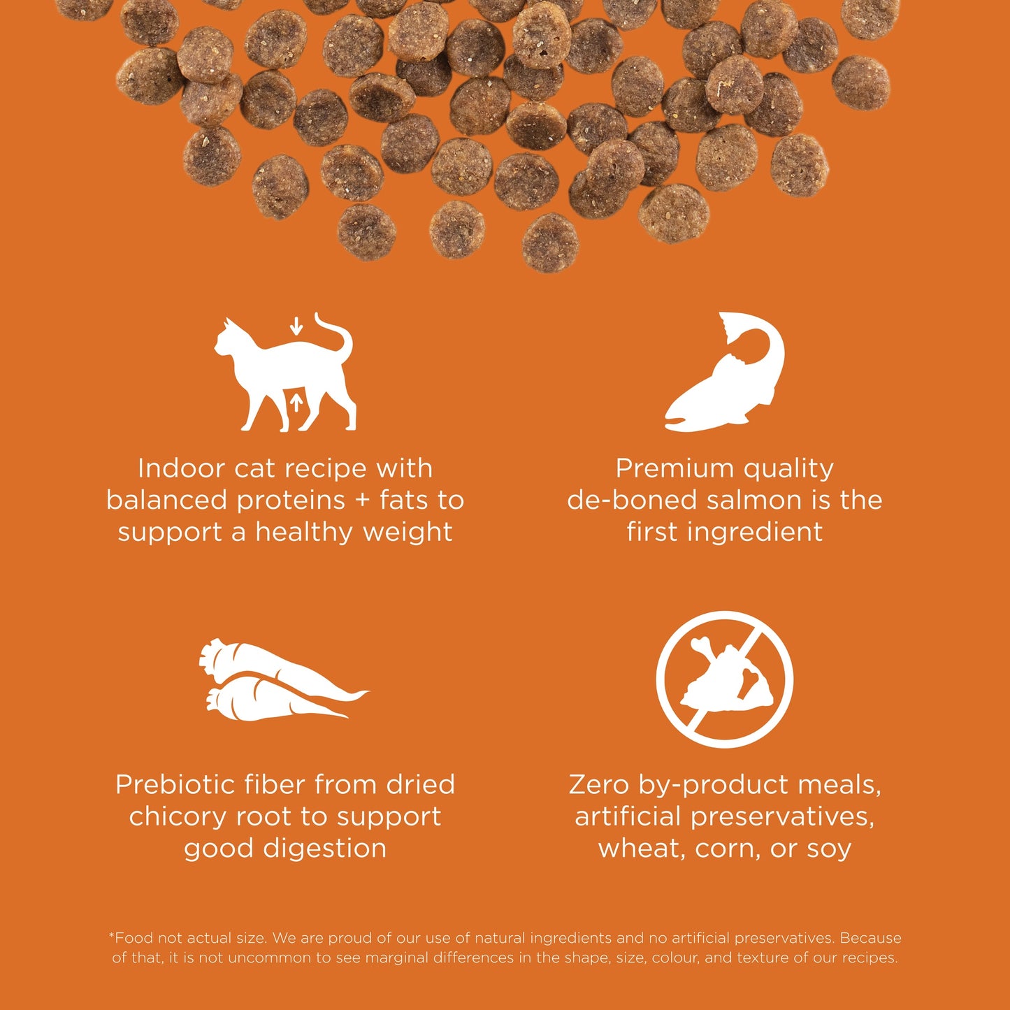 GO! Solutions SKIN & COAT CARE Grain Free Salmon Dry Cat Food