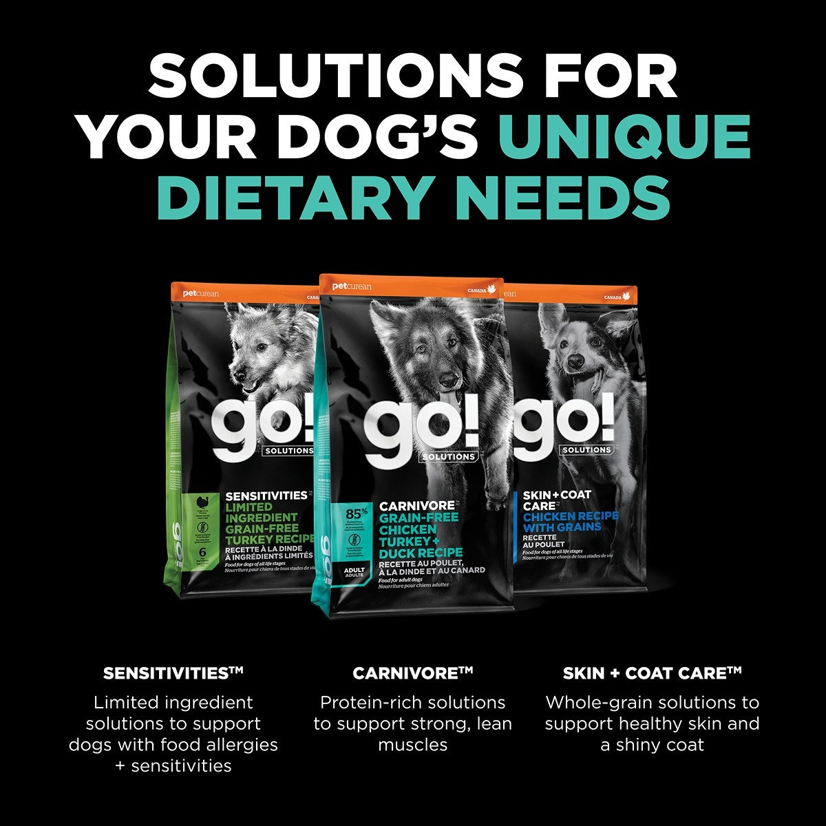 Go! Solutions CARNIVORE Chicken, Turkey & Duck Grain Free Dry Dog Food