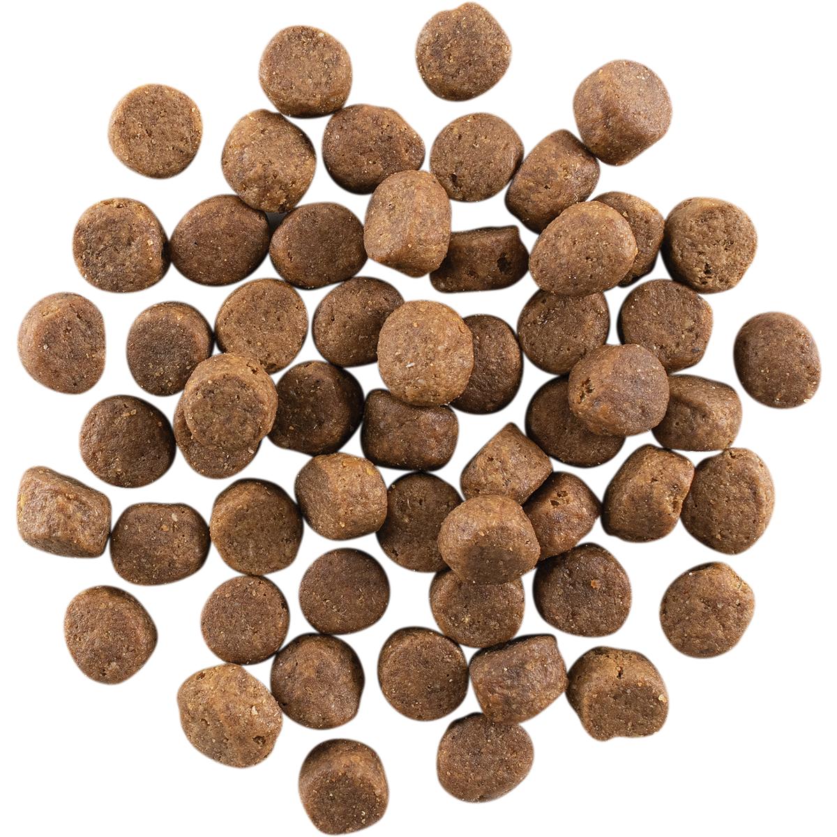 Go! Solutions CARNIVORE Chicken, Turkey & Duck Grain Free Dry Dog Food