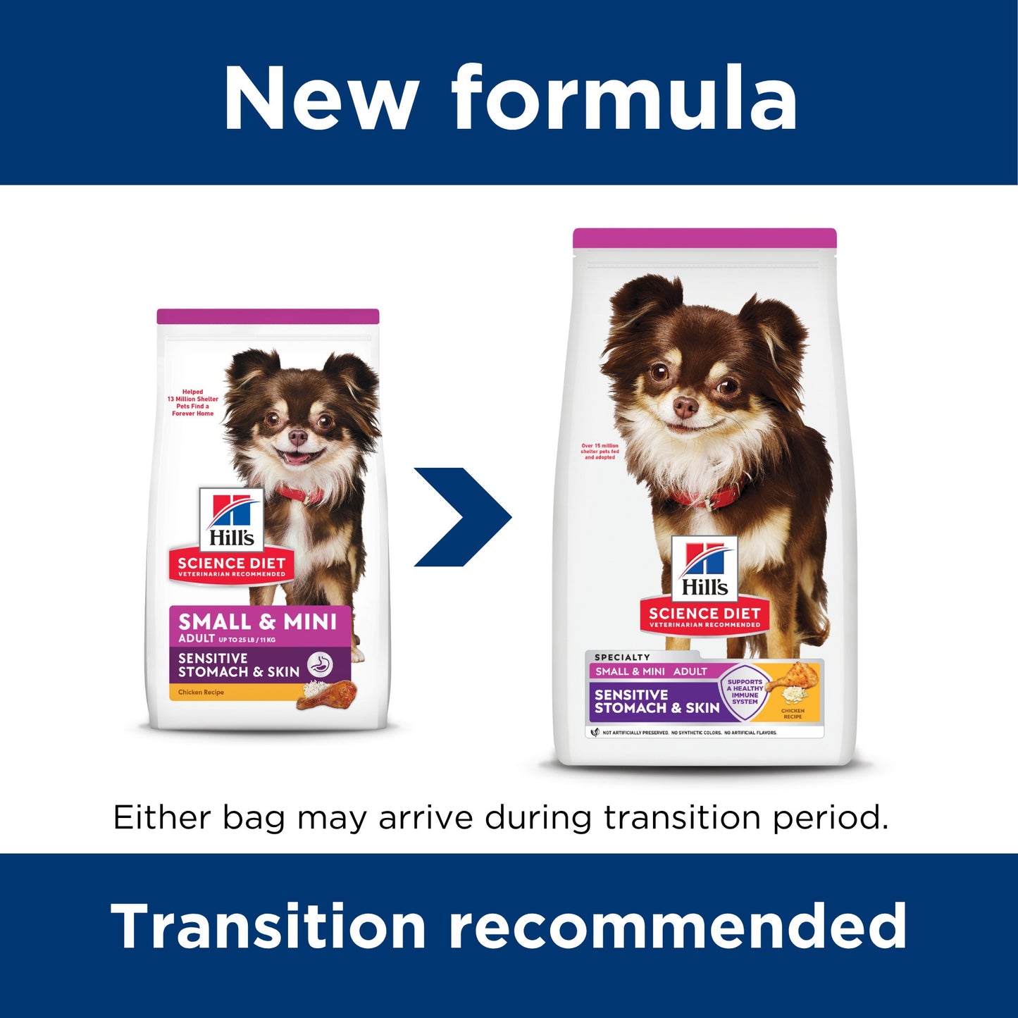 Hill's Science Diet Adult Sensitive Stomach & Skin Small & Mini Dry Dog Food