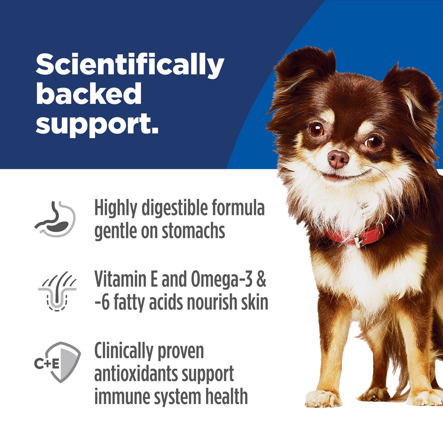 Hill's Science Diet Adult Sensitive Stomach & Skin Small & Mini Dry Dog Food