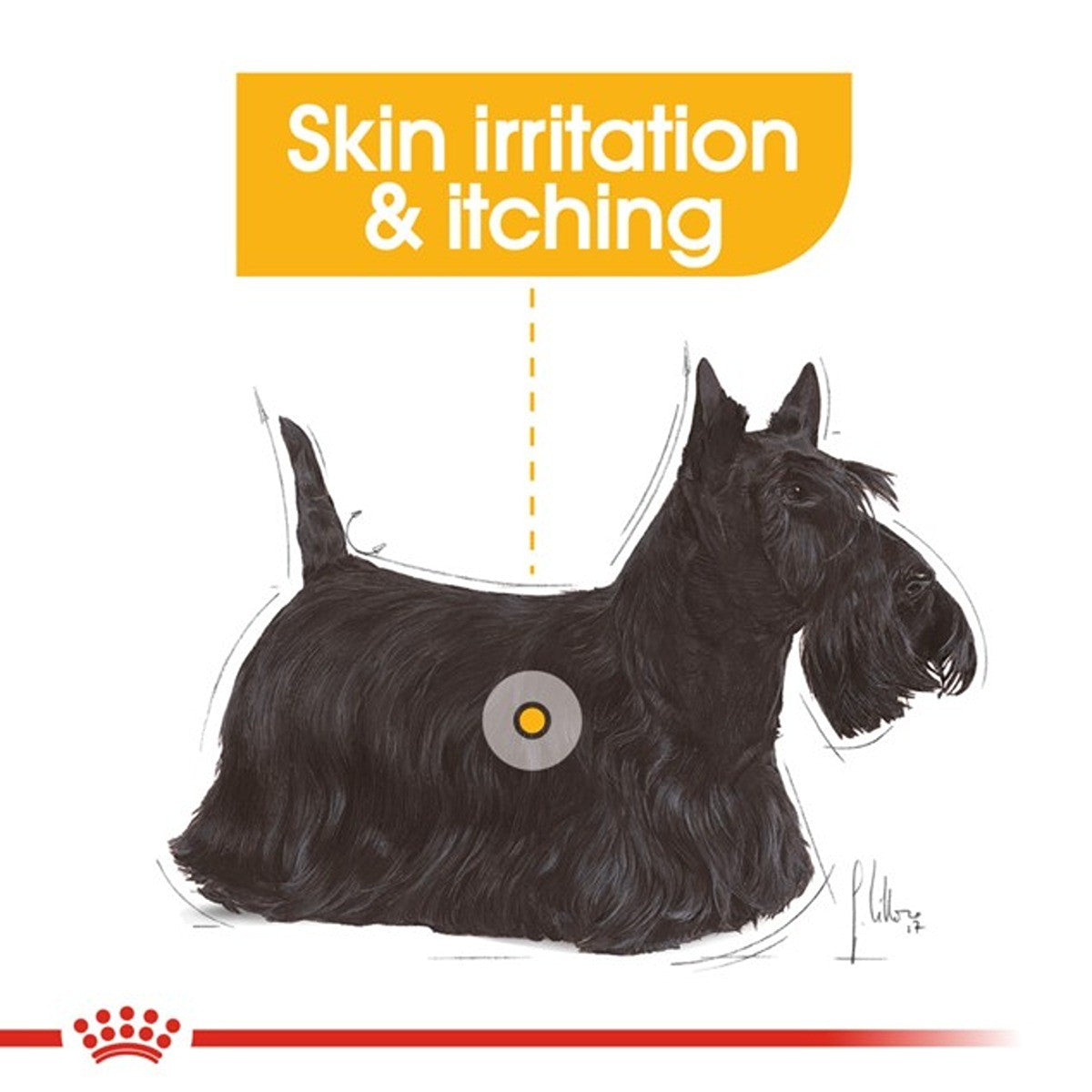 Royal Canin Dermacomfort Loaf Wet Dog Food