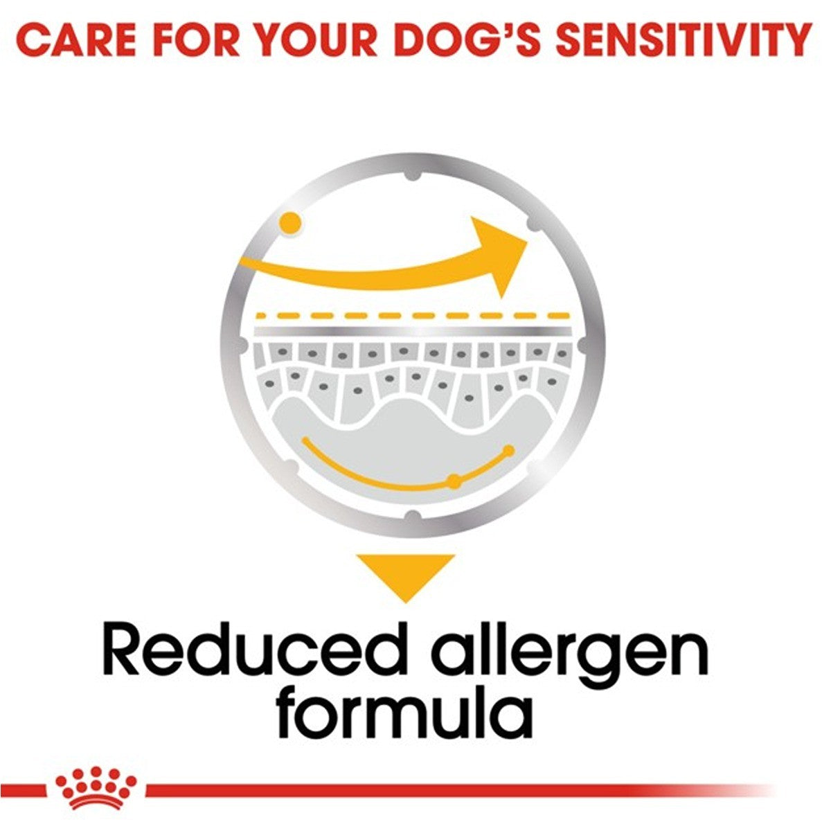 Royal Canin Dermacomfort Loaf Wet Dog Food