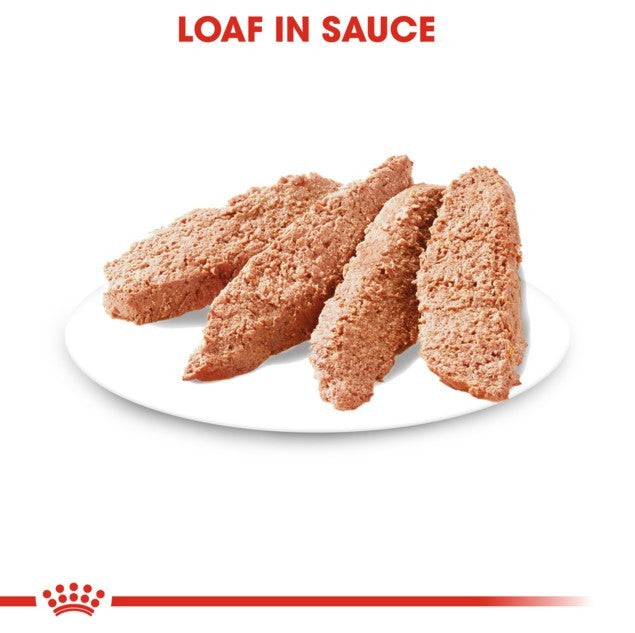 Royal Canin Exigent Loaf Wet Dog Food