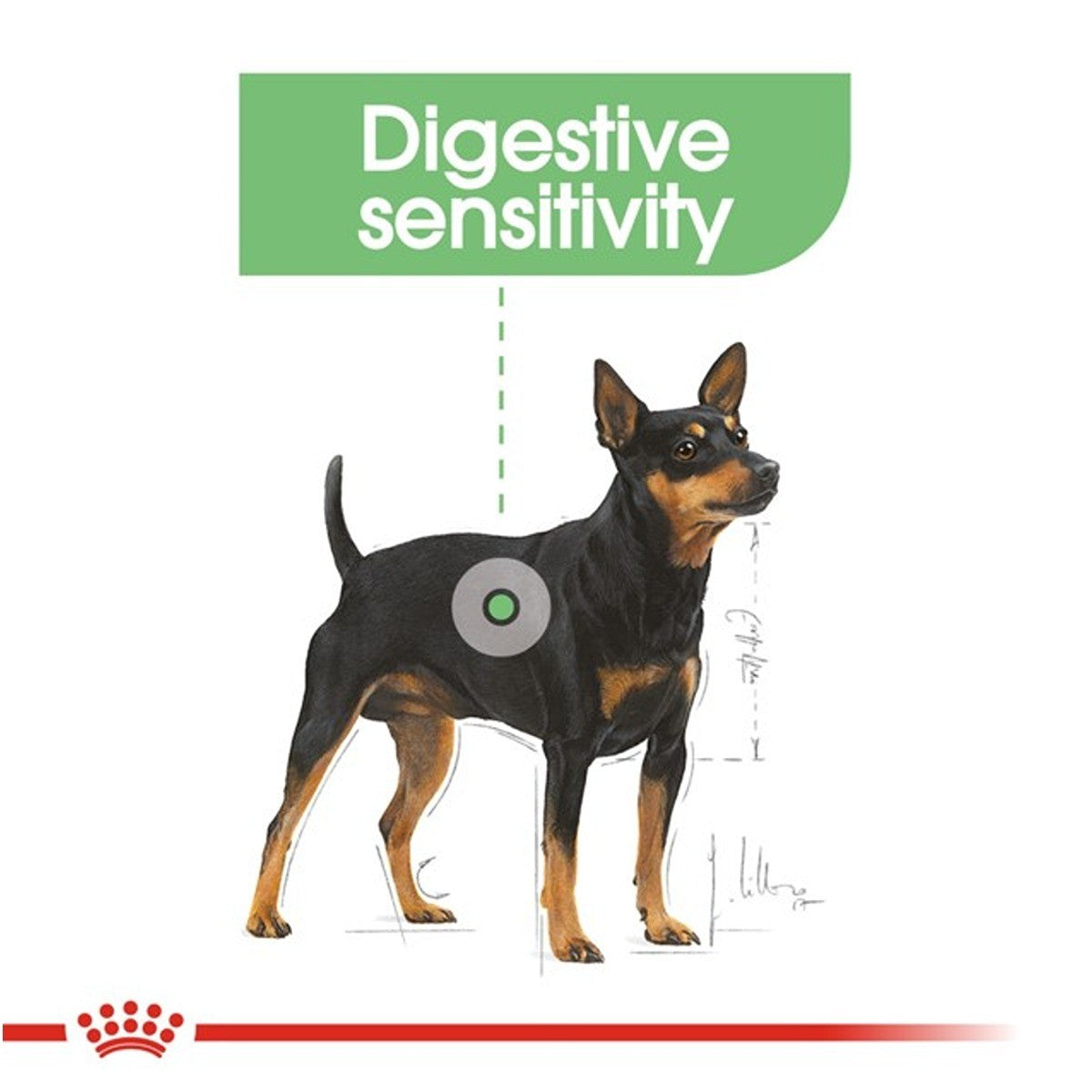Royal Canin Mini Digestive Care Dry Dog Food