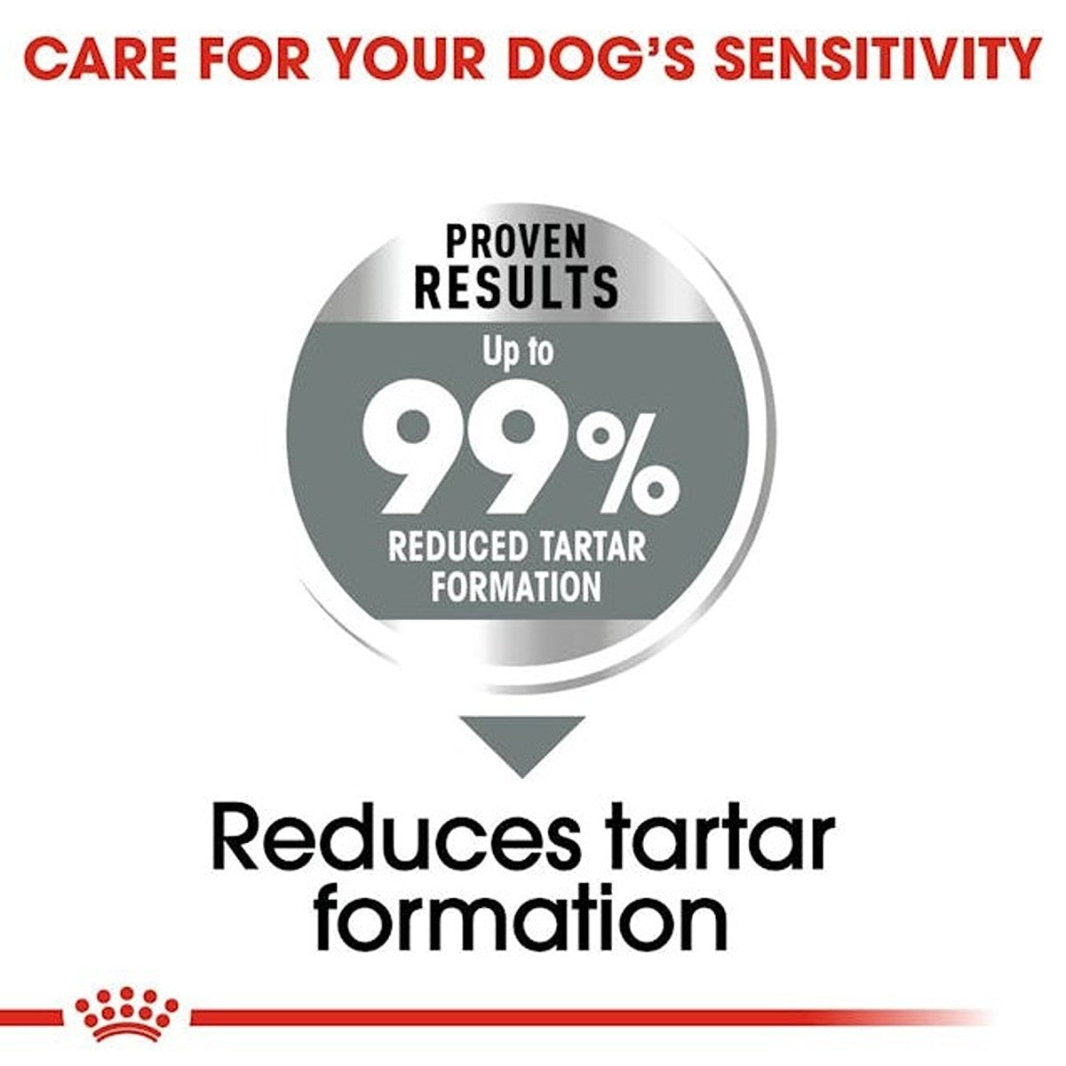 Royal Canin Medium Dental Care Dry Dog Food