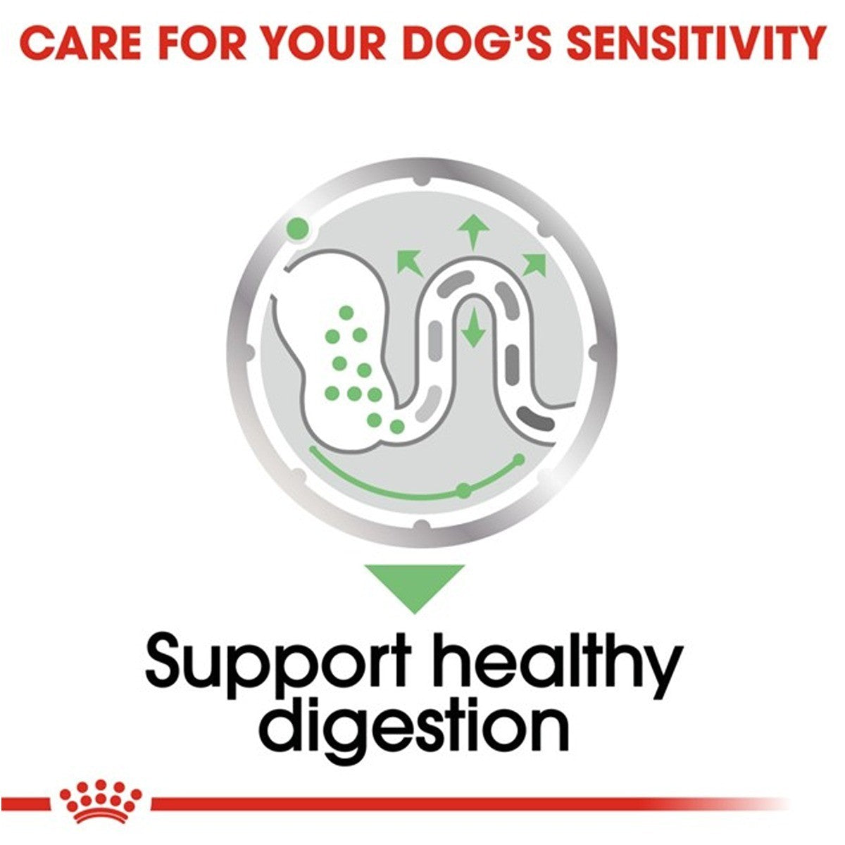 Royal Canin Mini Digestive Care Dry Dog Food