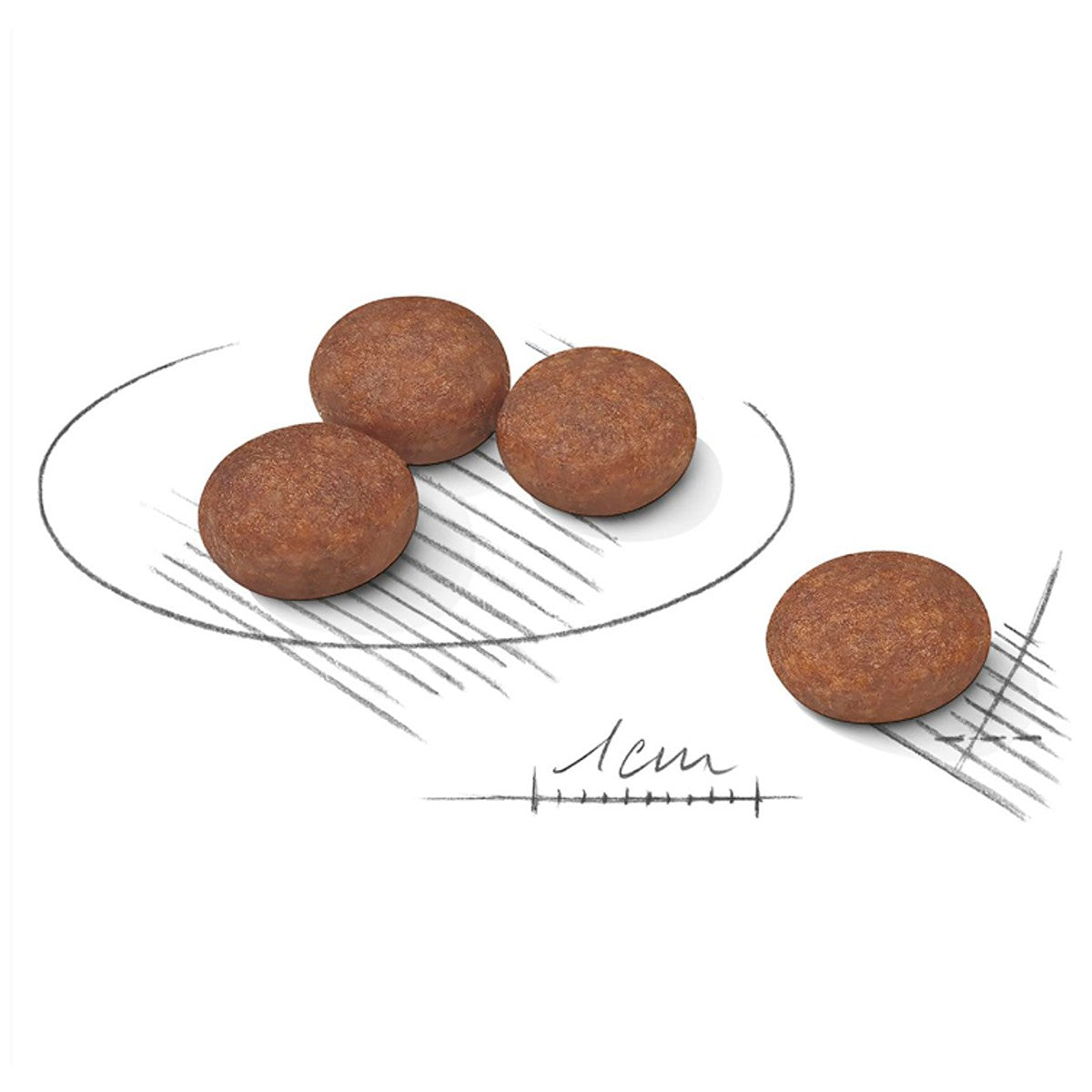 Royal Canin Mini Digestive Care Dry Dog Food