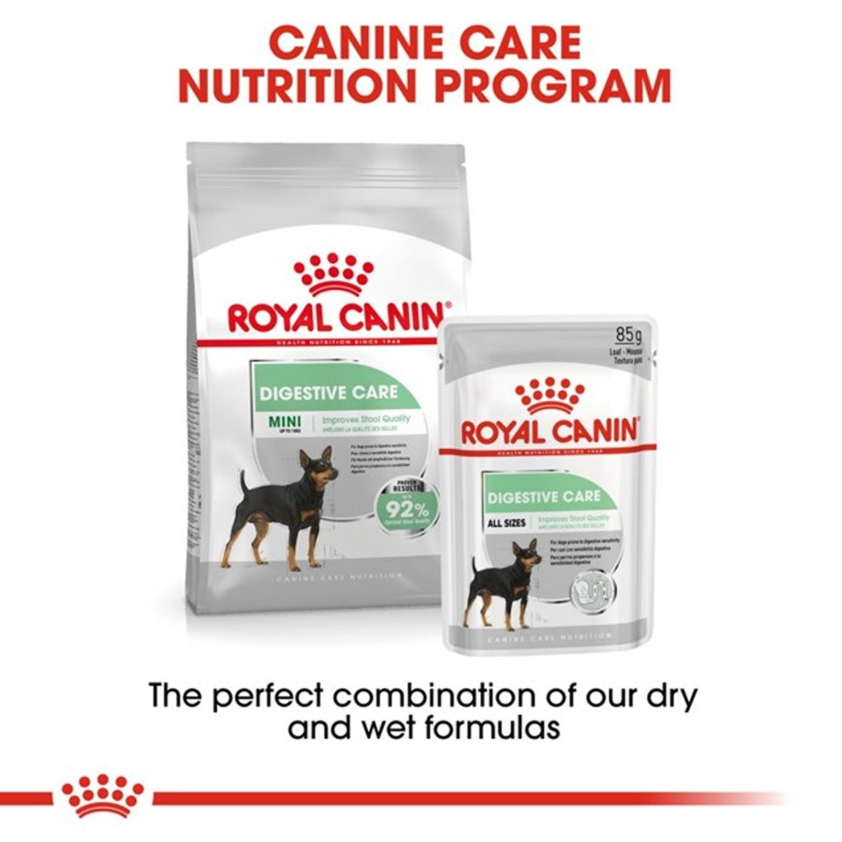 Royal Canin Mini Digestive Care Dry Dog Food