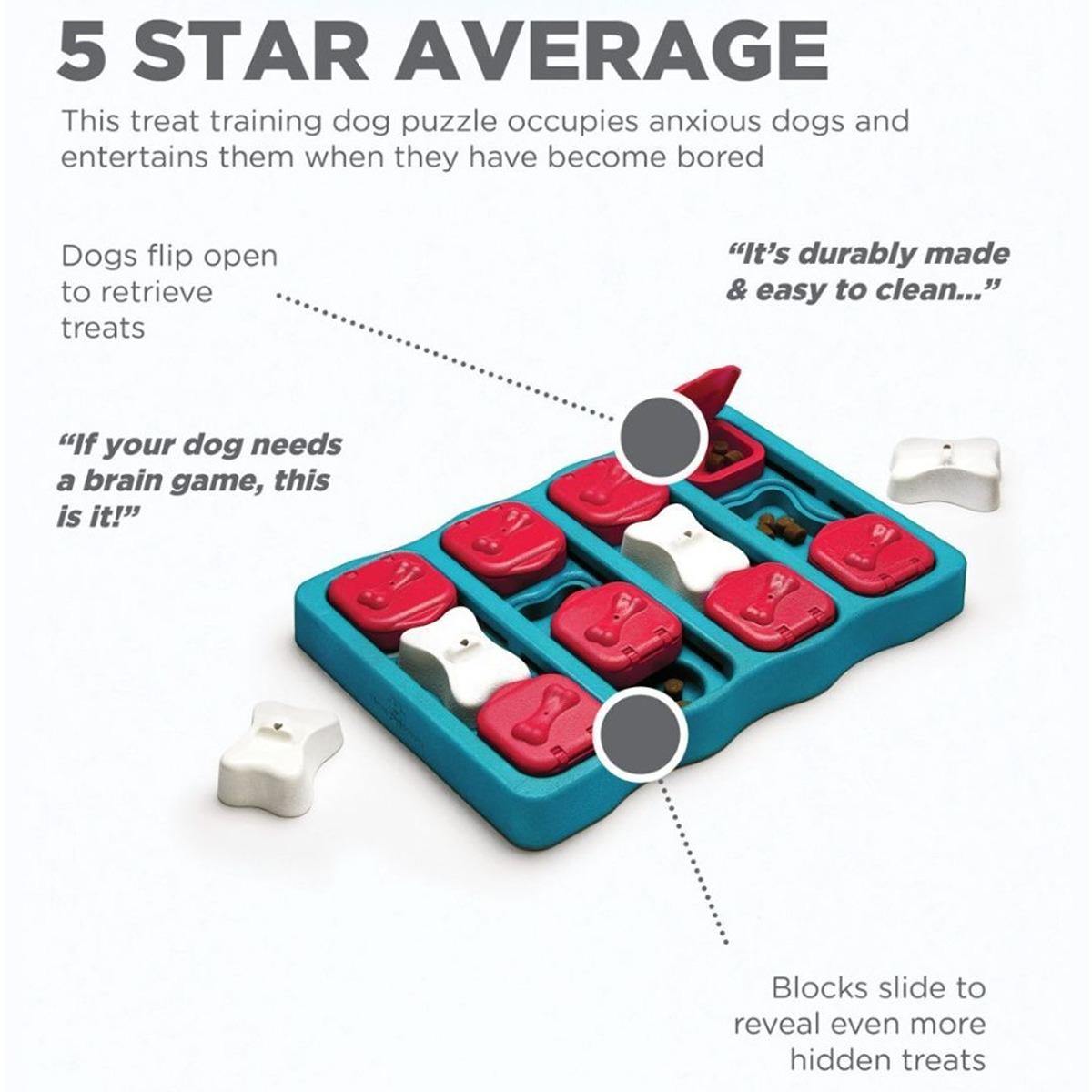 Nina Ottosson Brick Puzzle Dog Toy