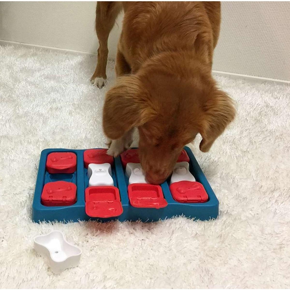 Nina Ottosson Brick Puzzle Dog Toy