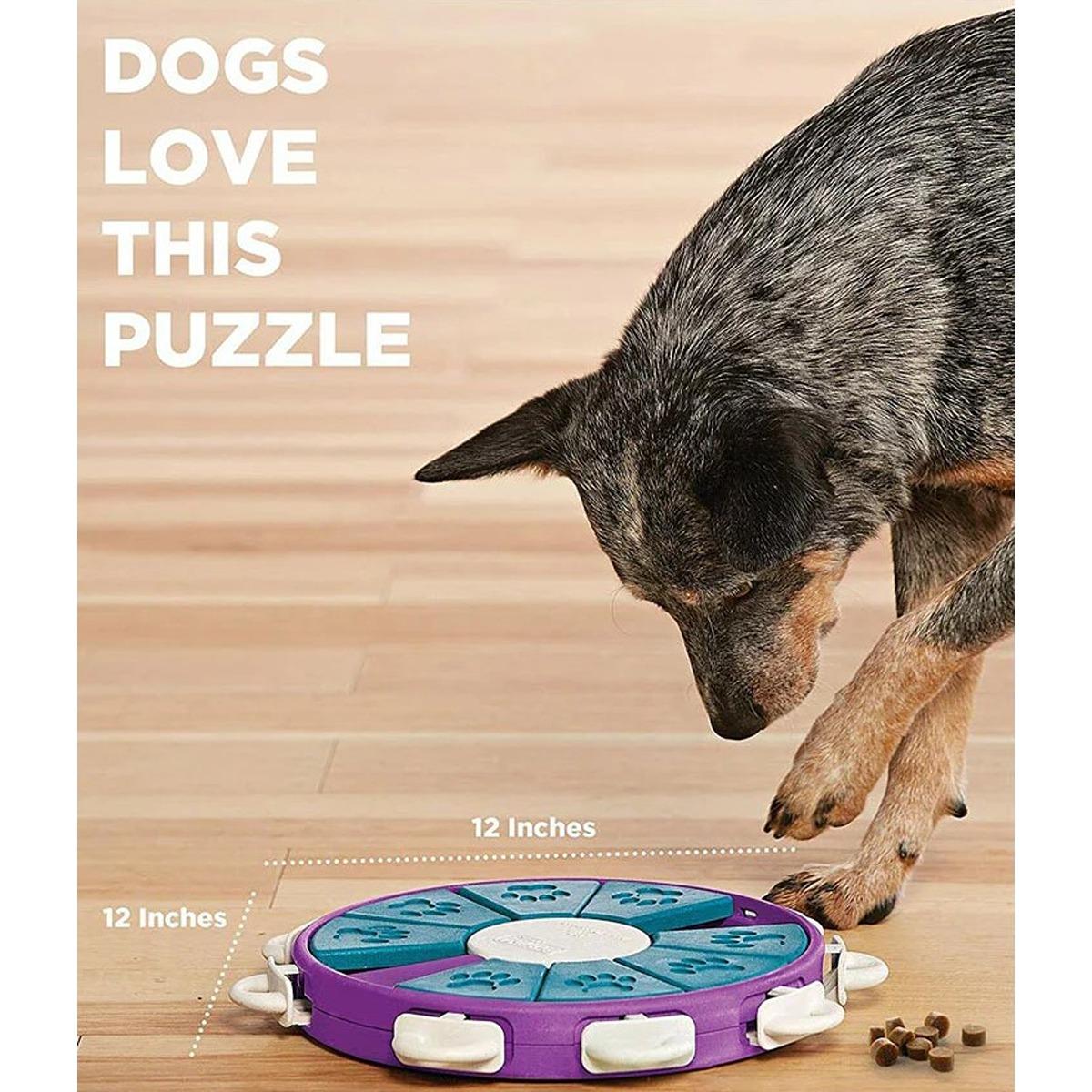 Nina Ottosson Puzzle Twister Dog Toy